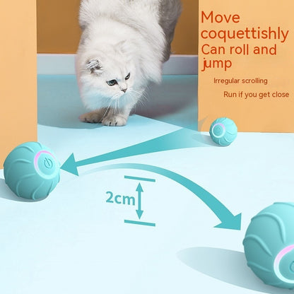Smart Chase LED Cat Ball